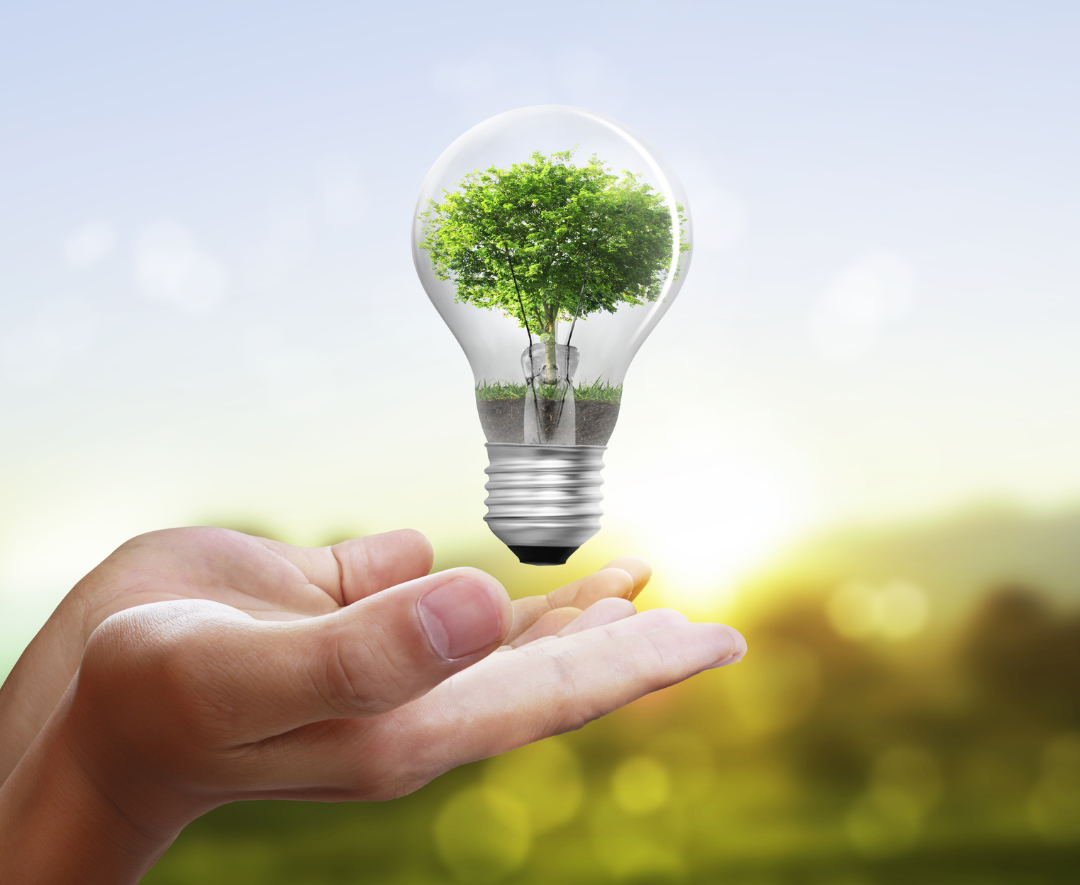 write a speech highlighting the importance of conserving energy