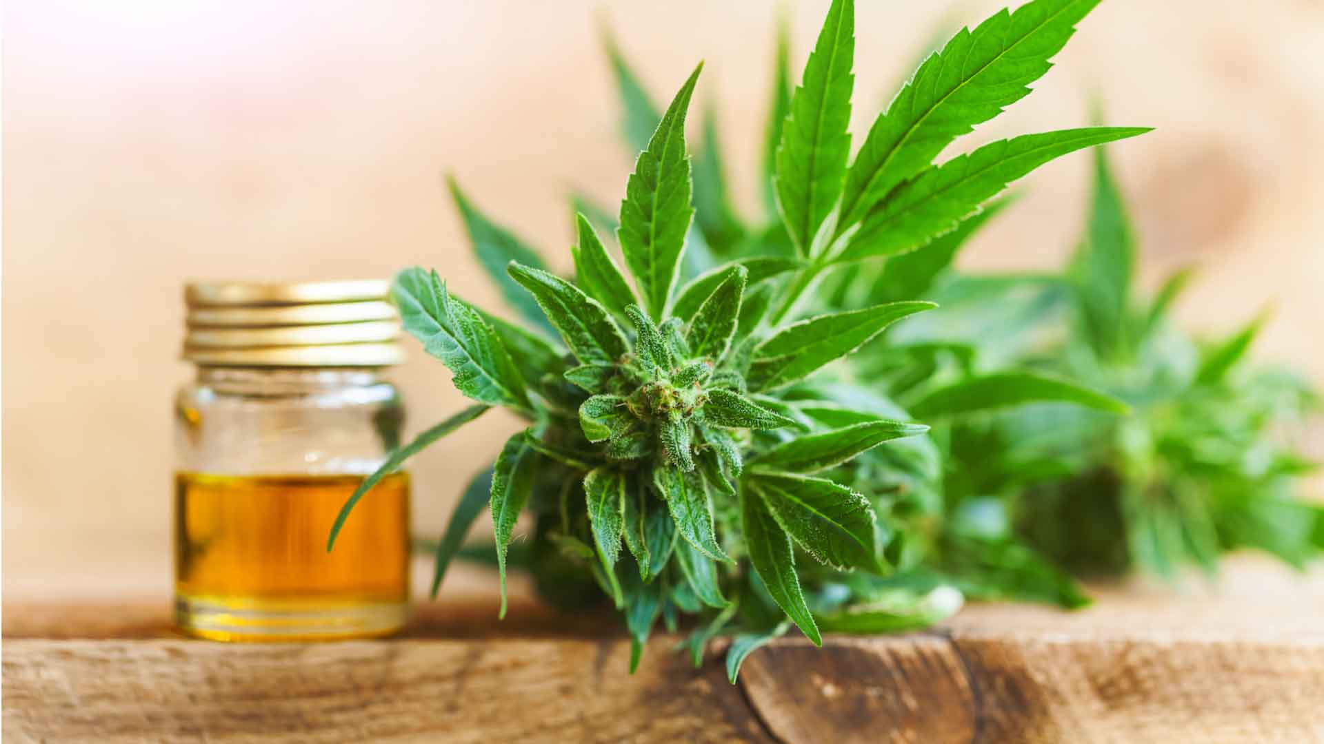 Skincare Benefits Associated With The Consumption Of Hemp Oil